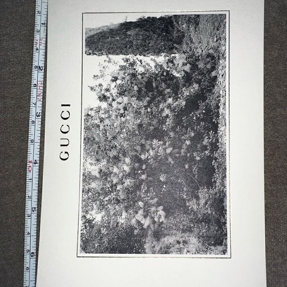 Authentic Gucci Post cards - Picture 3 of 3